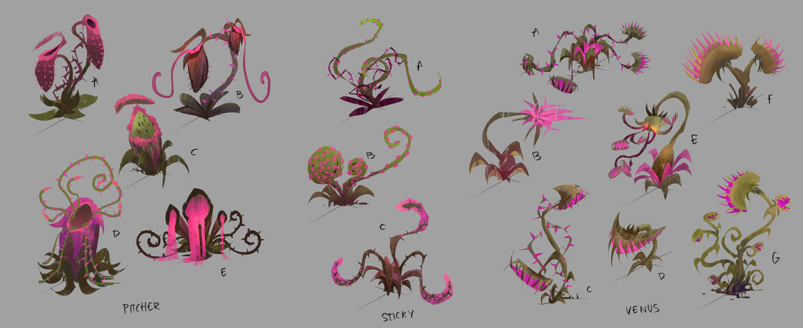 Plant Iterations 1